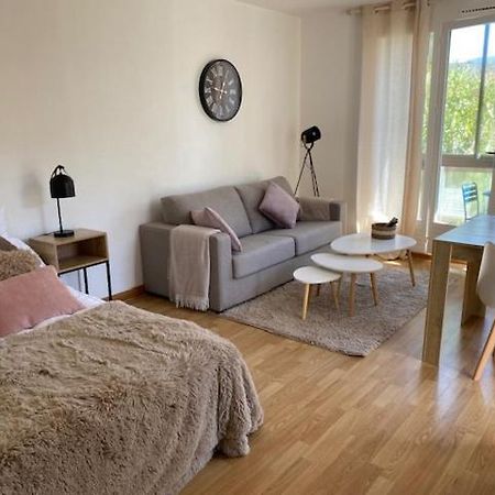 Studio 33 M2 , Climatise, Parking Exterieur Prive Gratuit Amélie-les-Bains-Palalda Exteriör bild